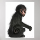 Recherche de intégral posters Se reposer