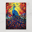 Recherche de beau paon cartes postales Plumes