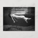 Recherche de vintage fashion cartes postales Woman