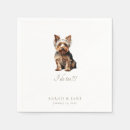Recherche de yorkshire Animal de compagnie