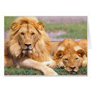 Recherche de panthera Grand