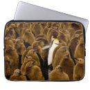 Zoek naar vogels laptop sleeves Dieren in het wild