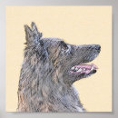 Recherche de chien de berger belge posters Tervuren