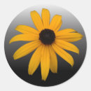 Recherche de noir observé Floral