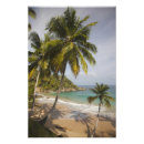 Zoek naar dominicaanse republiek posters Landschap