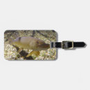 Recherche de aquarium bagages étiquettes Pêche