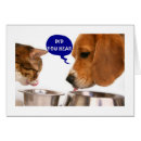 Recherche de dessin de beagle cartes postales Chiot