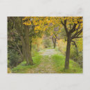 Zoek naar herfst boom briefkaarten Rivier