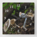 Zoek naar paddestoelen posters klokken Fotografie