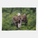 Recherche de aigles cuisine linges Faune