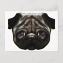 Recherche de chien de carlin posters Kawaii