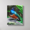 Recherche de africain impressions sur toile Orange