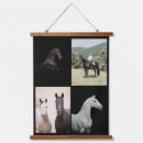 Recherche de cheval no art Photographie de cheval