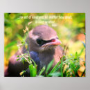 Recherche de acte posters Nature