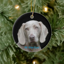 Zoek naar weimaraner ornamenten Hond