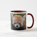 Recherche de panda roux tasses Animaux