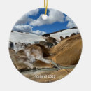 Recherche de la terre ornements Nature