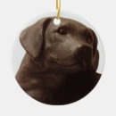 Recherche de labrador retriever ornements Noir
