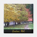 Recherche de foliage magnets Feuillage