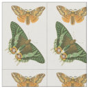 Recherche de peinture loisirs créatifs Nature