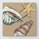 Zoek naar shells klokken Strand