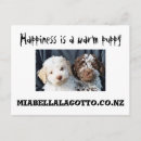 Zoek naar lagotto briefkaarten Puppies