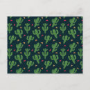 Zoek naar cactaceae posters Woestijn