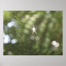 Recherche de webs posters Photographie