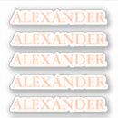 Recherche de ménage autocollants De femme de ménage