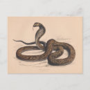 Recherche de zoologique cartes postales Animal
