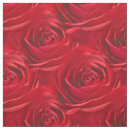 Recherche de copie de rose rouge Photographie florale