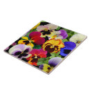 Recherche de pensées carreaux Fleurs