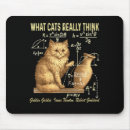 Recherche de humour chat tapis souris Instagram