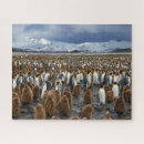 Recherche de pingouins puzzles Faune
