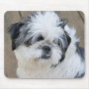 Recherche de cut tapis souris Animal