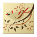 Recherche de femelle carreaux Oiseaux