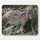 Recherche de corné tapis souris Crapaud