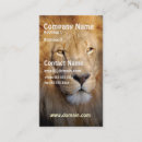 Recherche de lions cartes visite Prédateur