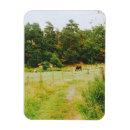 Recherche de campagne magnets Europe