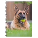 Zoek naar duitse herder notitieboeken Puppy