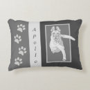 Recherche de malinois coussins Pour tous