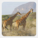 Recherche de le kenya autocollants Arbre