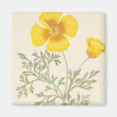 Recherche de coquelicot magnets Coquelicot de californie