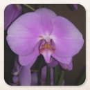 Zoek naar orchidee onderzetters Floreel