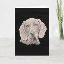 Zoek naar weimaraner hond kaarten Dier