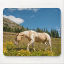 Recherche de ranch cheval tapis souris Prairie