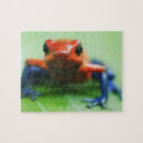 Zoek naar reptielen puzzels Schalen