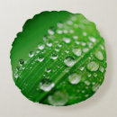 Recherche de gouttes de pluie coussins Herbe