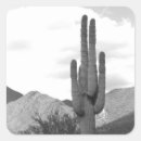Recherche de saguaro autocollants Désert