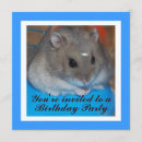 Recherche de hamster anniversaire invitations Enfants